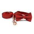 Bow Collar Leash Set