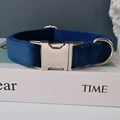 Silver Dog Collar