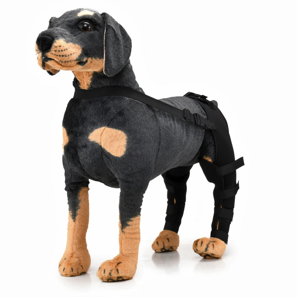 Rodillera para pierna de perro, soporte ajustable, transpirable para perros pequeños, medianos y grandes, rehabilitación postoperatoria, cuidado de las articulaciones - imagen 2