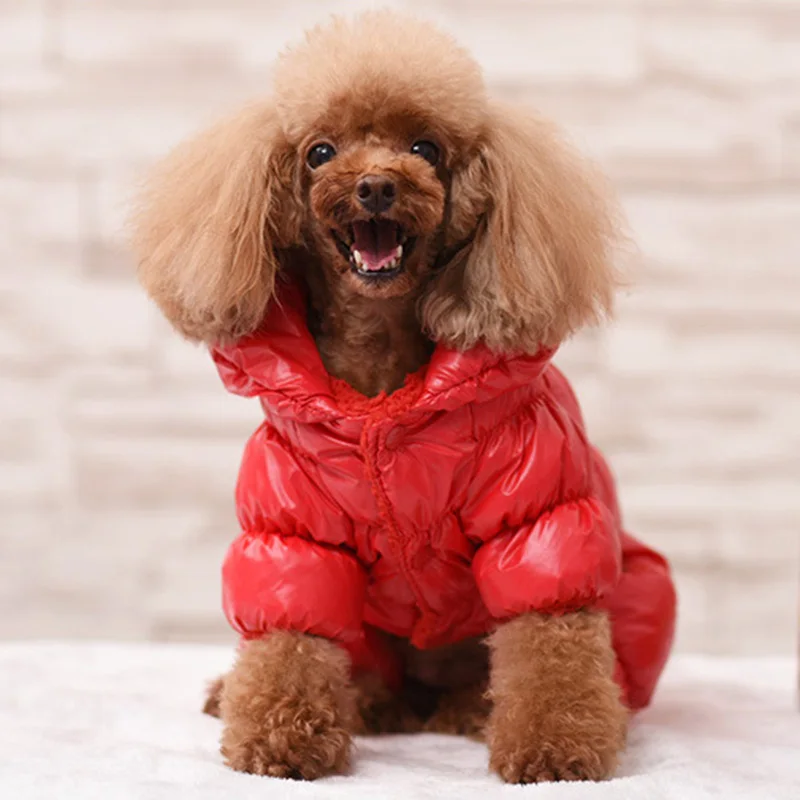 Chaqueta de plumón de invierno, mono para perros, ropa cálida para perros pequeños y medianos para Bulldog Francés, ropa general para cachorros y gatos ubranka dla psa - imagen 5