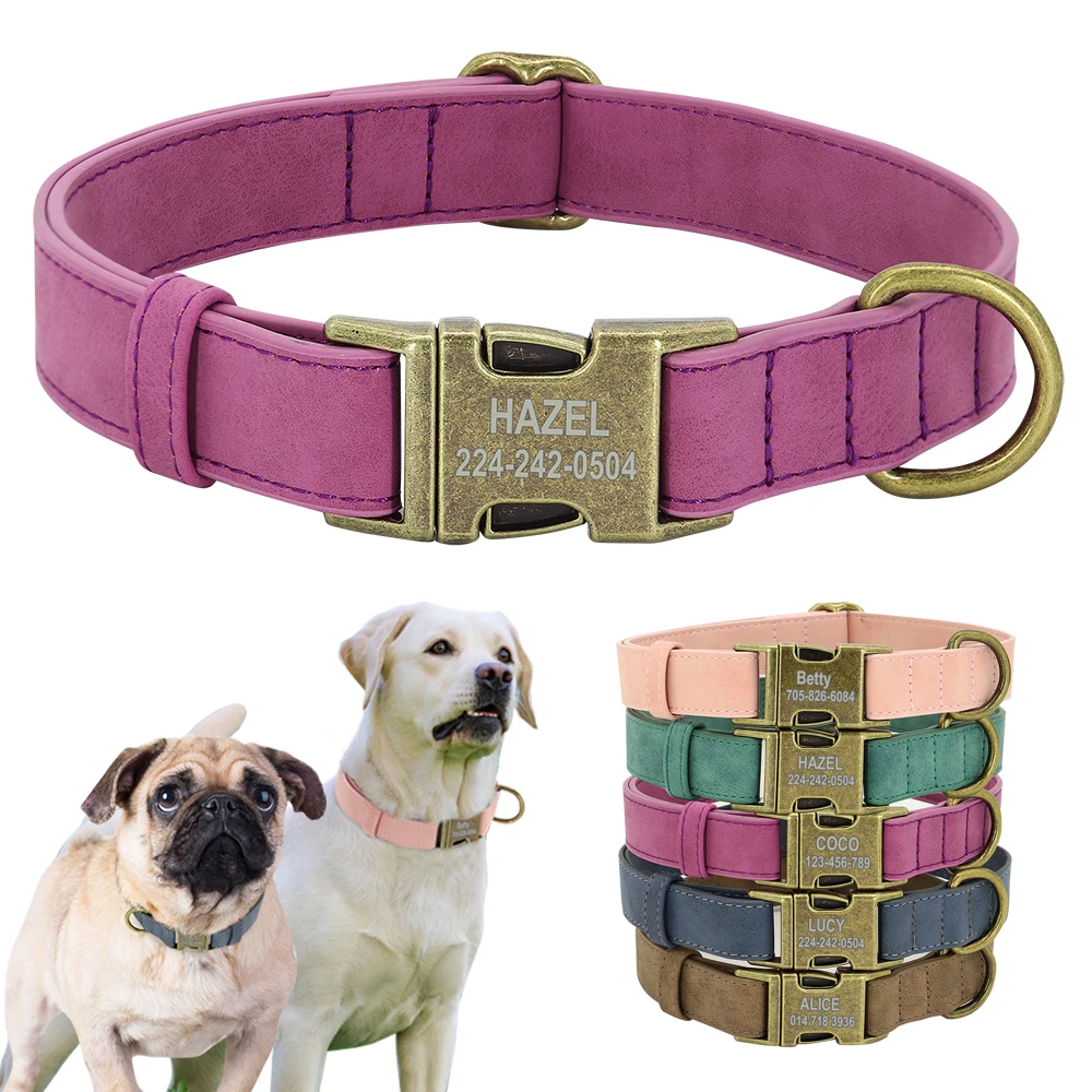 Collar cuero personalizado perros pequeños medianos grandes etiqueta identificación - Vista principal diseño completo