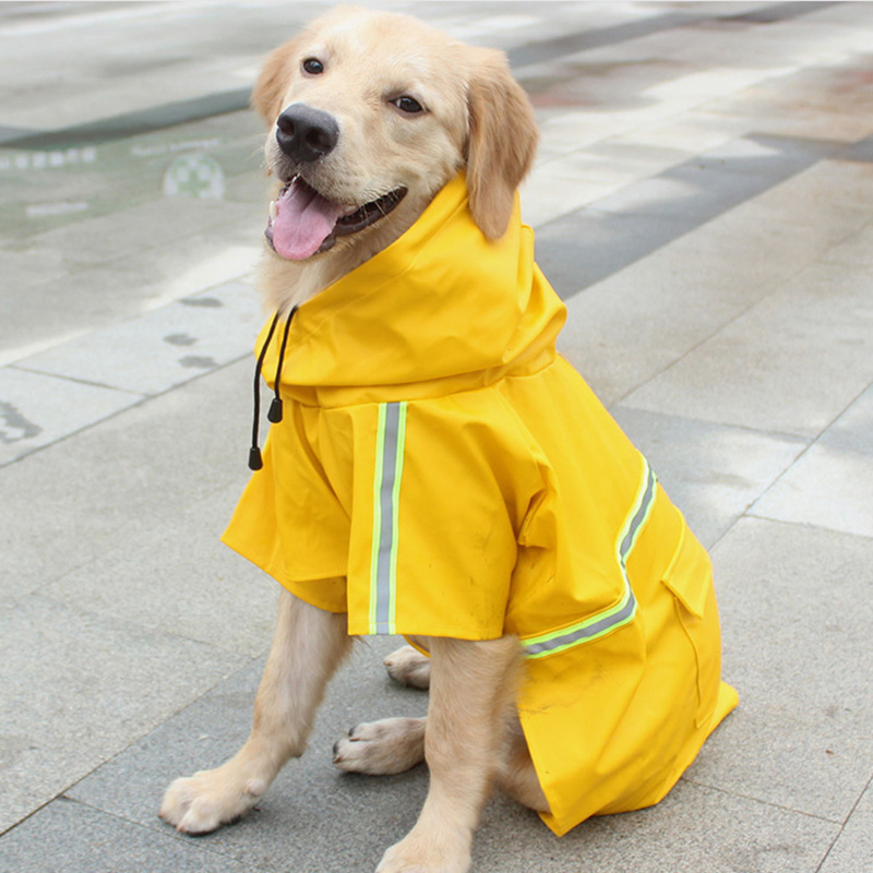 Ropa de lluvia para Labrador - uso
