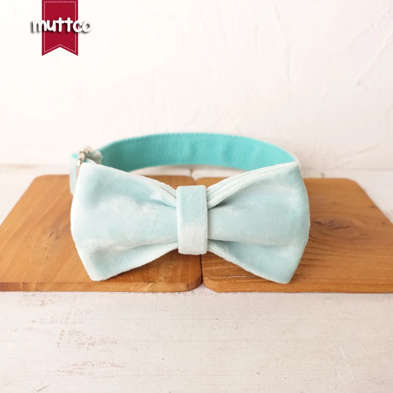 Collar de perro con hebilla de metal grabada MUTTCO, collar con etiqueta de identificación de perro de AQUA, placa de identificación de 5 tamaños, suministro antipérdida para mascotas UDC111 - imagen 4