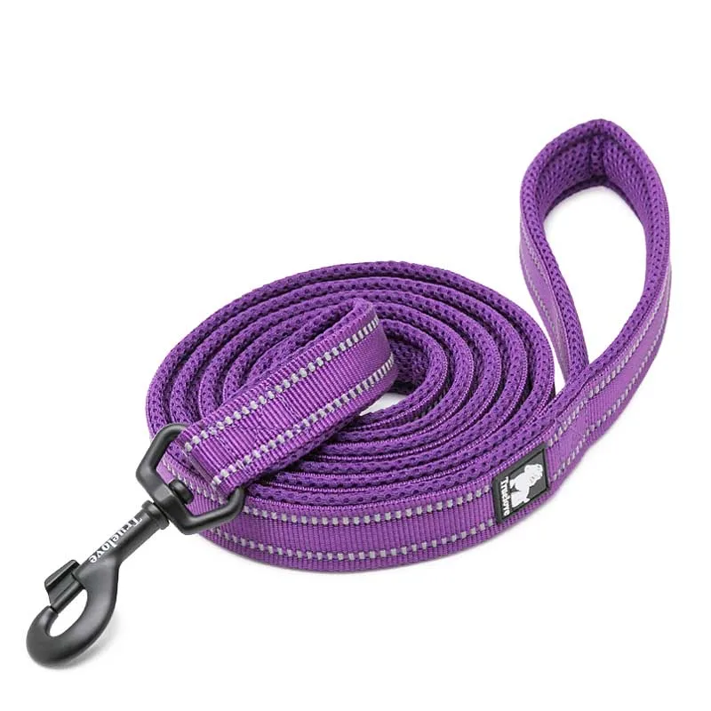 Purple Dog Leash