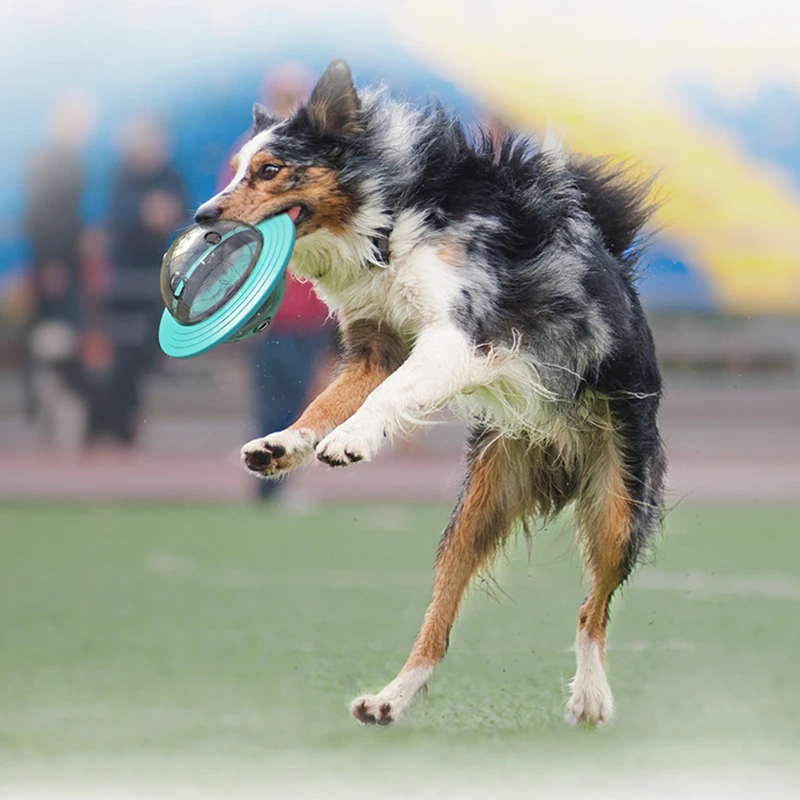 Juguetes de discos voladores para perro al aire libre, rompecabezas IQ, juguete interactivo para mascotas, herramientas para masticar, TPR, alimentador de comida con fugas, Bola de entrenamiento para cachorros - imagen 5
