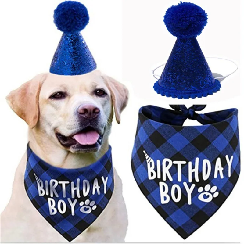 Perro pequeño llevando un gorro con pompón azul y bandana de cumpleaños