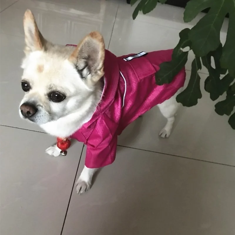 Un pequeño perro blanco con una chaqueta rosa