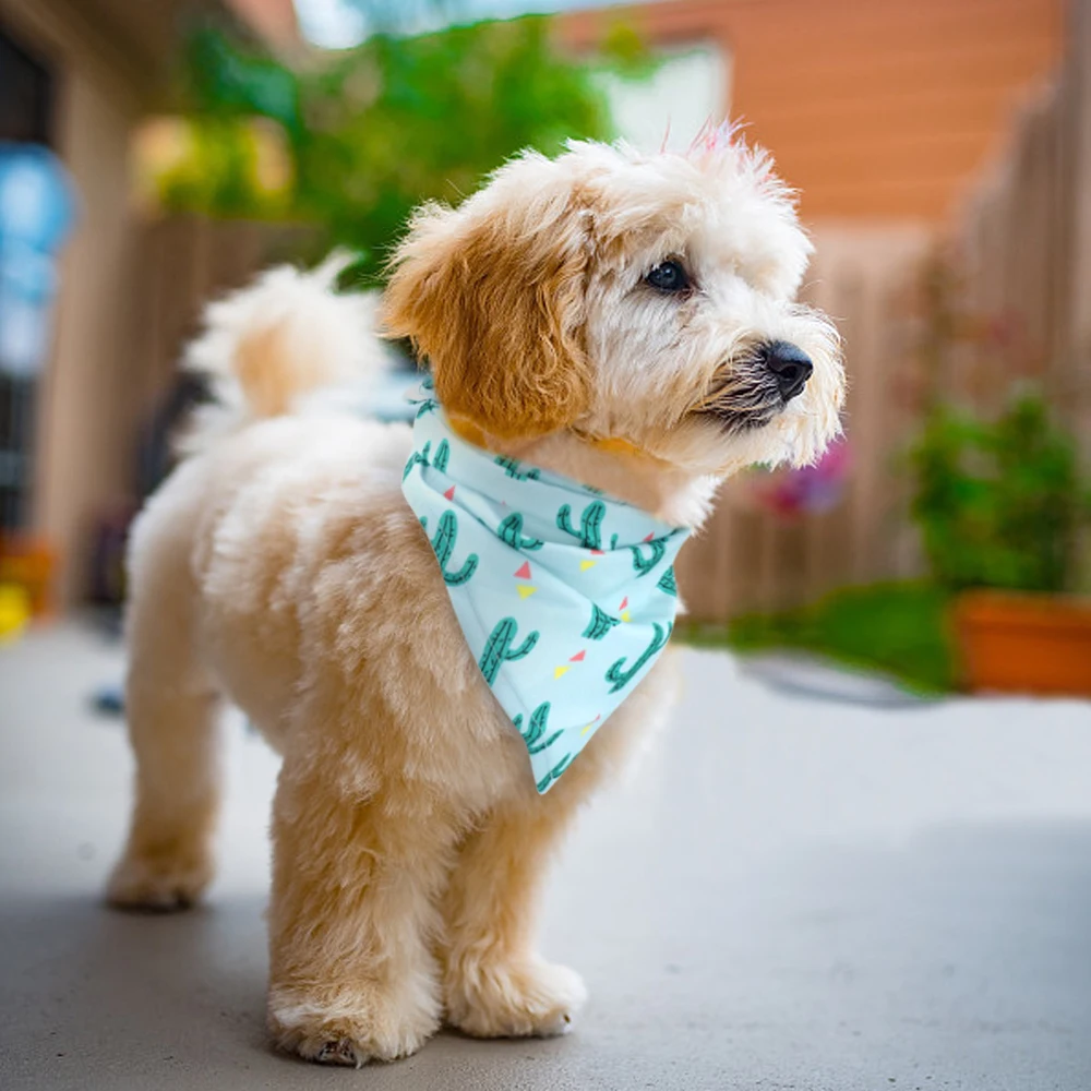 Pañuelo de algodón suave para perro y gato, Bandana lavable con estampado bonito, accesorios para perros pequeños y medianos - imagen 3