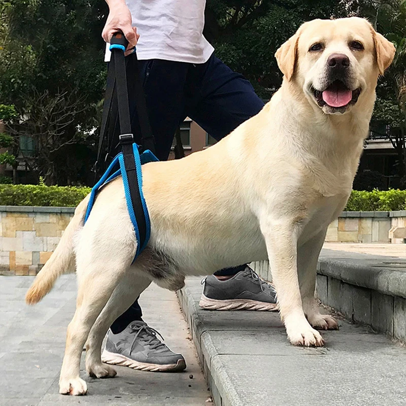 Arnés de soporte para mascotas, herramienta de ayuda para patas flojas, para levantar la espalda, para perros viejos, S-XL - imagen 2