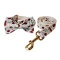 Bow Collar Leash Set