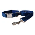 Silver Collar Leash