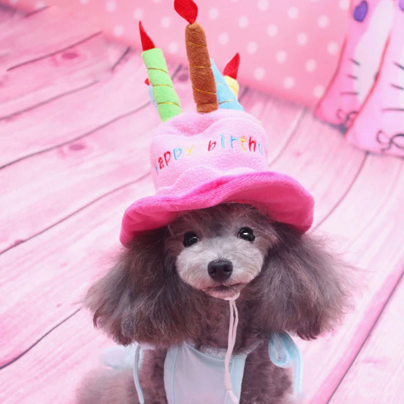 Sombrero de fiesta de cumpleaños para mascotas con diseño festivo y colores brillantes