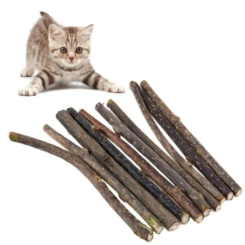 Palo de hierba gatera Natural para limpieza de gatos, palito de pasta de dientes Molar, Silvervine, Actinidia, fruta, Snacks para gatos, juguete para masticar para mascotas - imagen 4