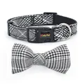 Gray Stripe Collar