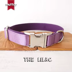 Collar de perro ajustable con etiqueta de identificación