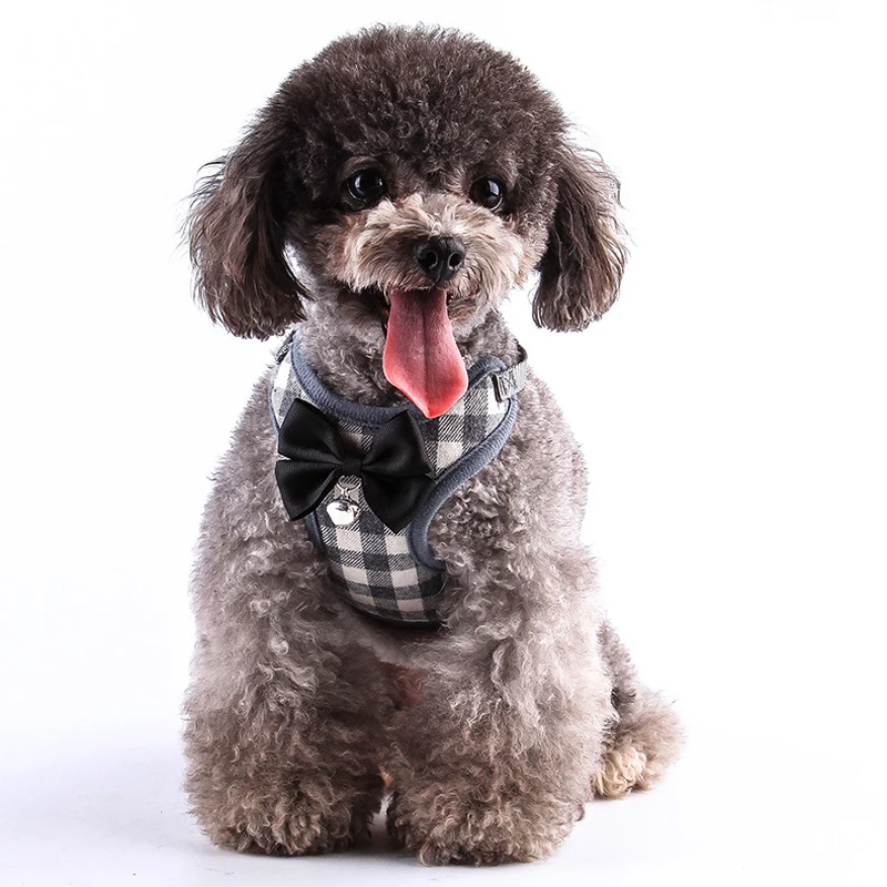 Conjunto de arnés y correa para perro a cuadros, chaleco para Gato, arnés con lazo de malla acolchado para cachorros pequeños, Chihuahua, Yorkies, Pug 10A - imagen 5