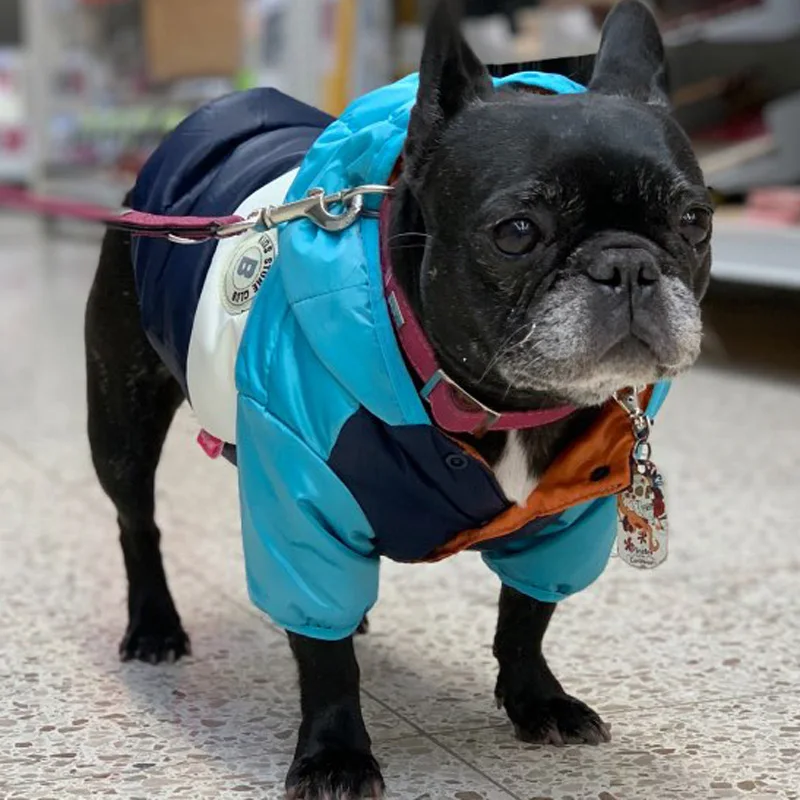 Ropa cálida de invierno para perros, chaqueta impermeable para perros grandes, perros pequeños, medianos y grandes, Bulldog Francés, Pug, Abrigo con capucha, ropa para mascotas