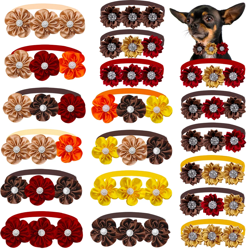 Pajaritas para Mascotas - Pack 50/100 Unidades