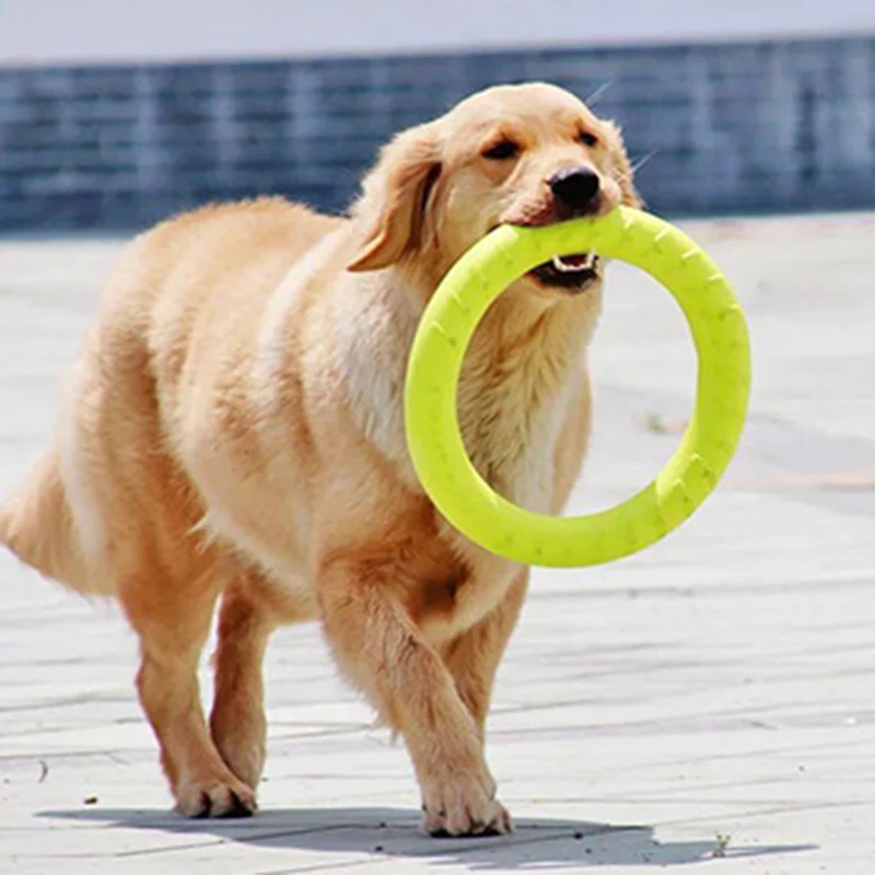 Anillo de entrenamiento interactivo para Mascotas, juguetes extractores para perros medianos y grandes, Galgo, Pitbull, juguete de seguridad EVA, accesorios para Mascotas - imagen 2