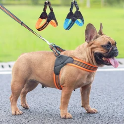 Arnés reflectante Bulldog Francés y correa malla perros pequeños