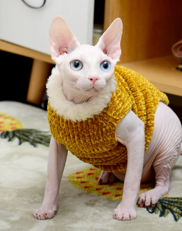 Ropa para gatos, suéter tejido suave hecho a mano cálido para invierno, traje Sphynx, sudaderas con capucha para gatos, jersey Sphinx, ropa para gatitos, suministros para gatos - imagen 3