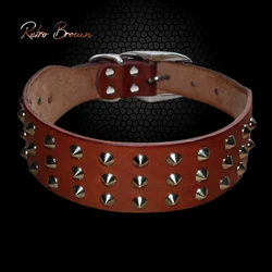 Collar de cuero con tachuelas para perros – Bulldog, Pitbull y Boxer