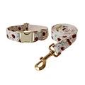 Dog Collar Leash Set