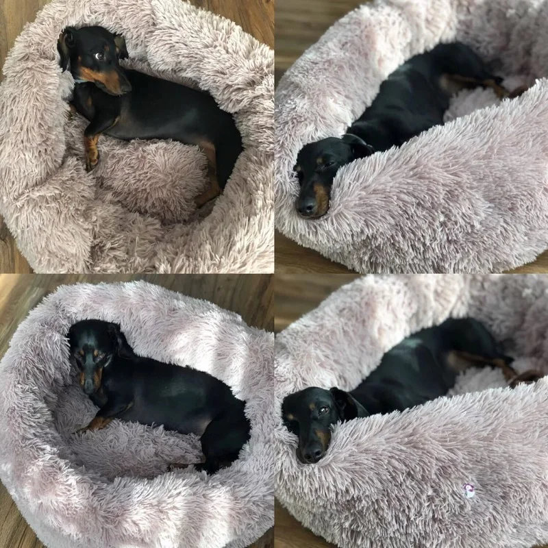 Cama de lana cálida para perro, cojín redondo para mascotas pequeñas, medianas y grandes, Perrera de felpa larga para perros y gatos, alfombrilla para cachorros, tumbona, sofá, Invierno - imagen 3