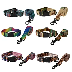 Conjunto correa y collar perro Bulldog Francés hebilla plástica
