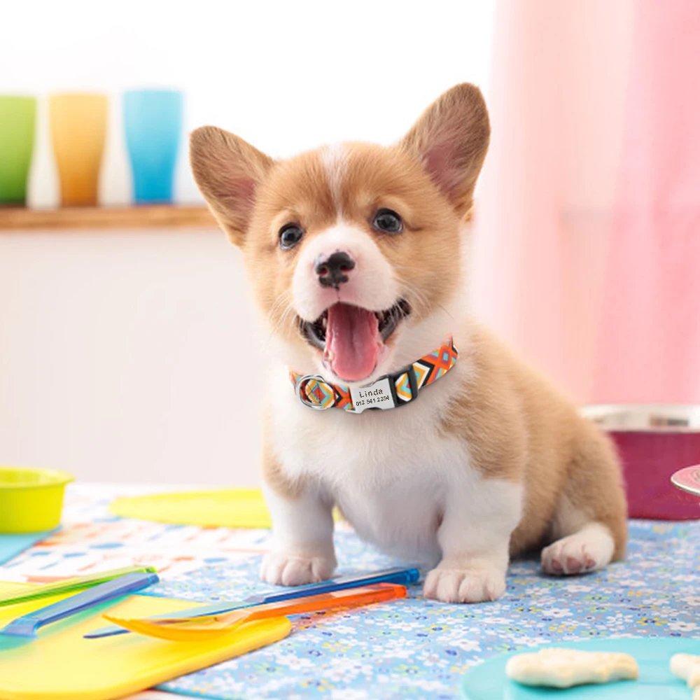 Collar indio personalizado para perros y gatos, collares de nailon personalizados para cachorros, Chihuahua, Pug, collares para mascotas ajustables para perros pequeños, medianos y grandes