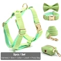 Harness 5pcs Set