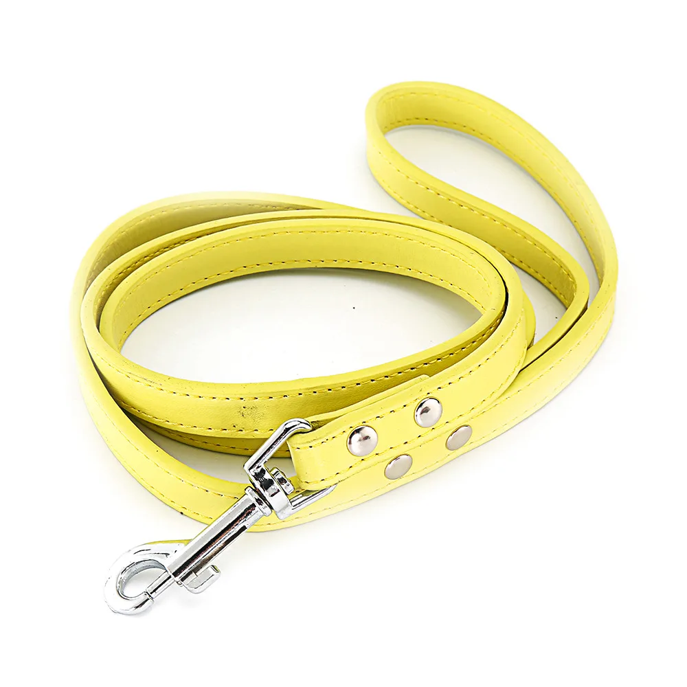 Yellow Dog Leash
