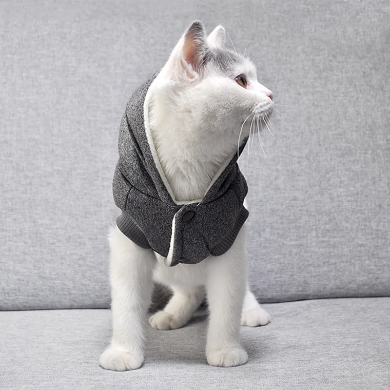 O1CN01HcR3Nz25fK21b4qWF_!!3283267553