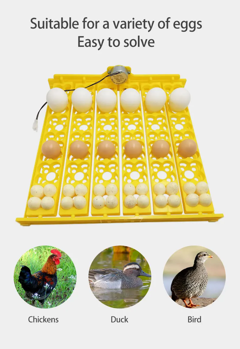 Bandeja incubadora de 36 huevos de codorniz, girador automático de platos de huevo, equipo de incubación de aves de corral para pollitos, patos y aves - imagen 3