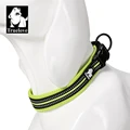 yellow dog collar