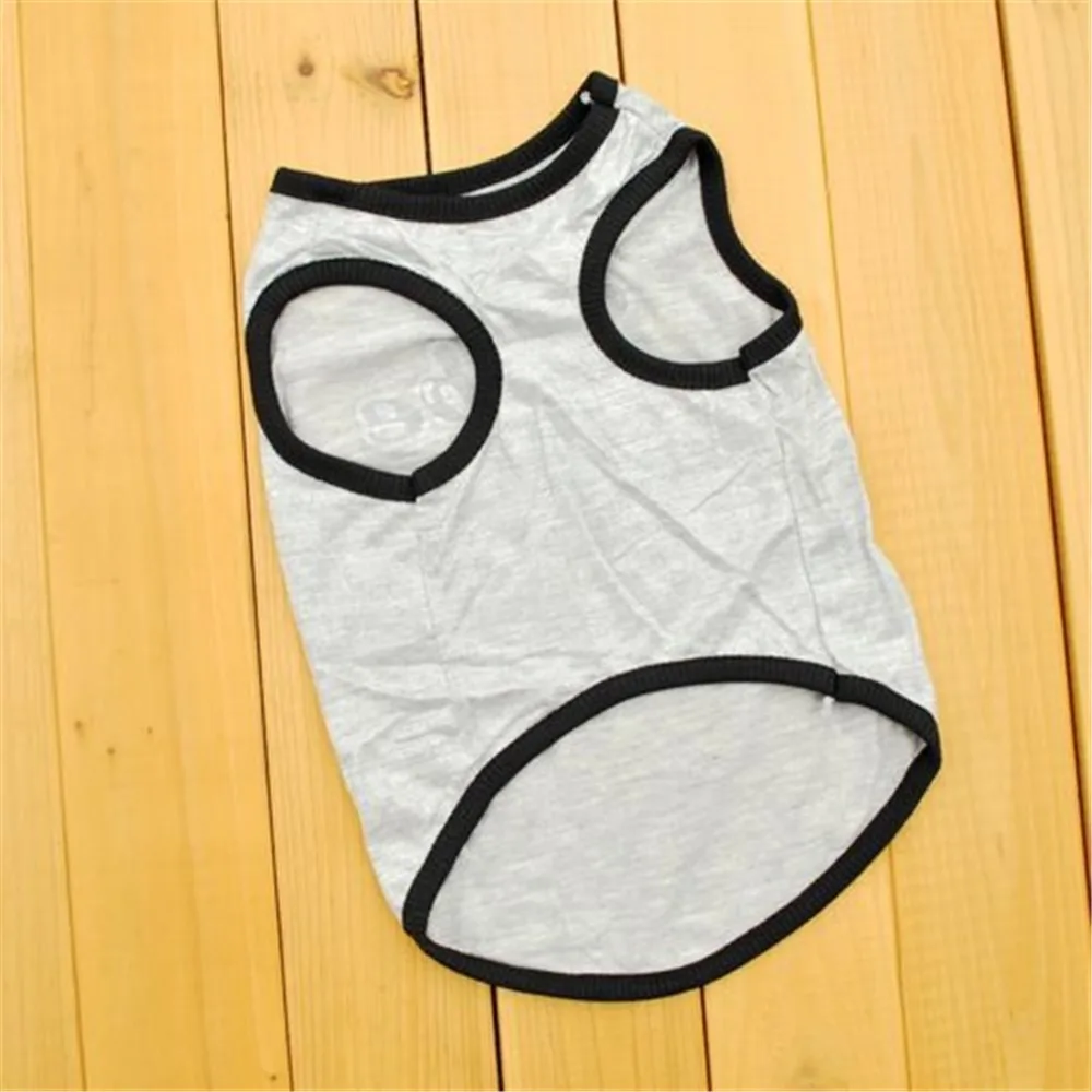 1683307515_361259826