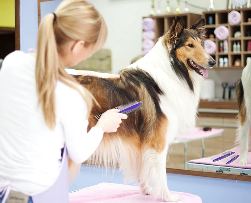 Benepaw-peine profesional de acero inoxidable para mascotas, cepillo antideslizante seguro con dientes redondos para cachorros y perros, quita nudos y suciedad de piel suelta