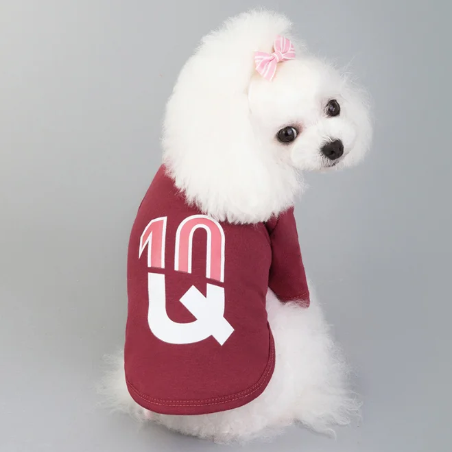 Ropa con estampado de moda para perros pequeños, camiseta bonita para primavera y verano, disfraz de peluche para perros y gatos, novedad de 2021 - imagen 2