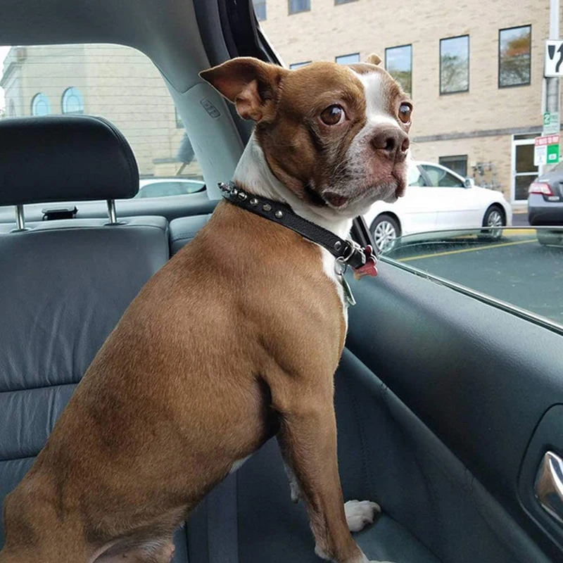 Benepaw-Collar de piel sintética con pinchos para perro, remache seguro, Ajustable, duradero, para mascotas pequeñas, medianas y grandes, Pitbull - imagen 2