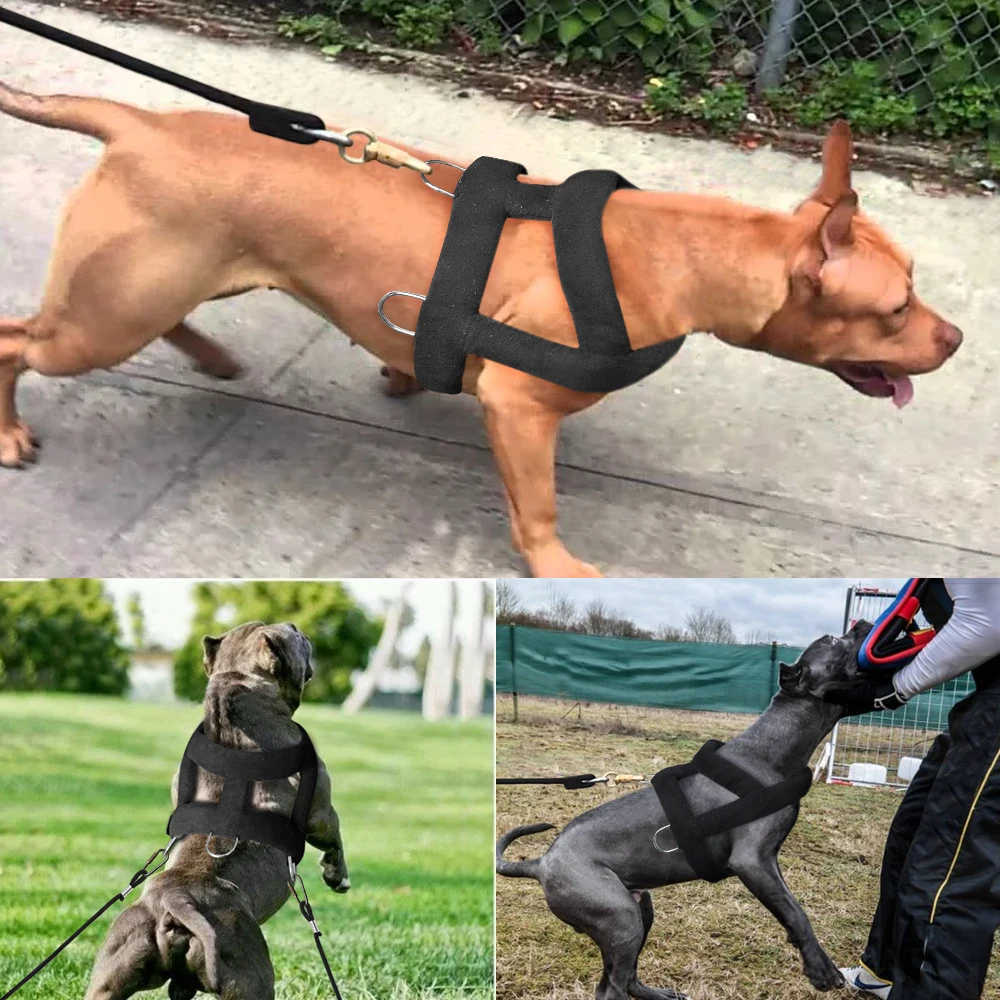 Arnés y correa de tracción de peso para perros, arnés acolchado suave con cuerda de plomo duradera, entrenamiento de perros grandes Pitbull - imagen 5