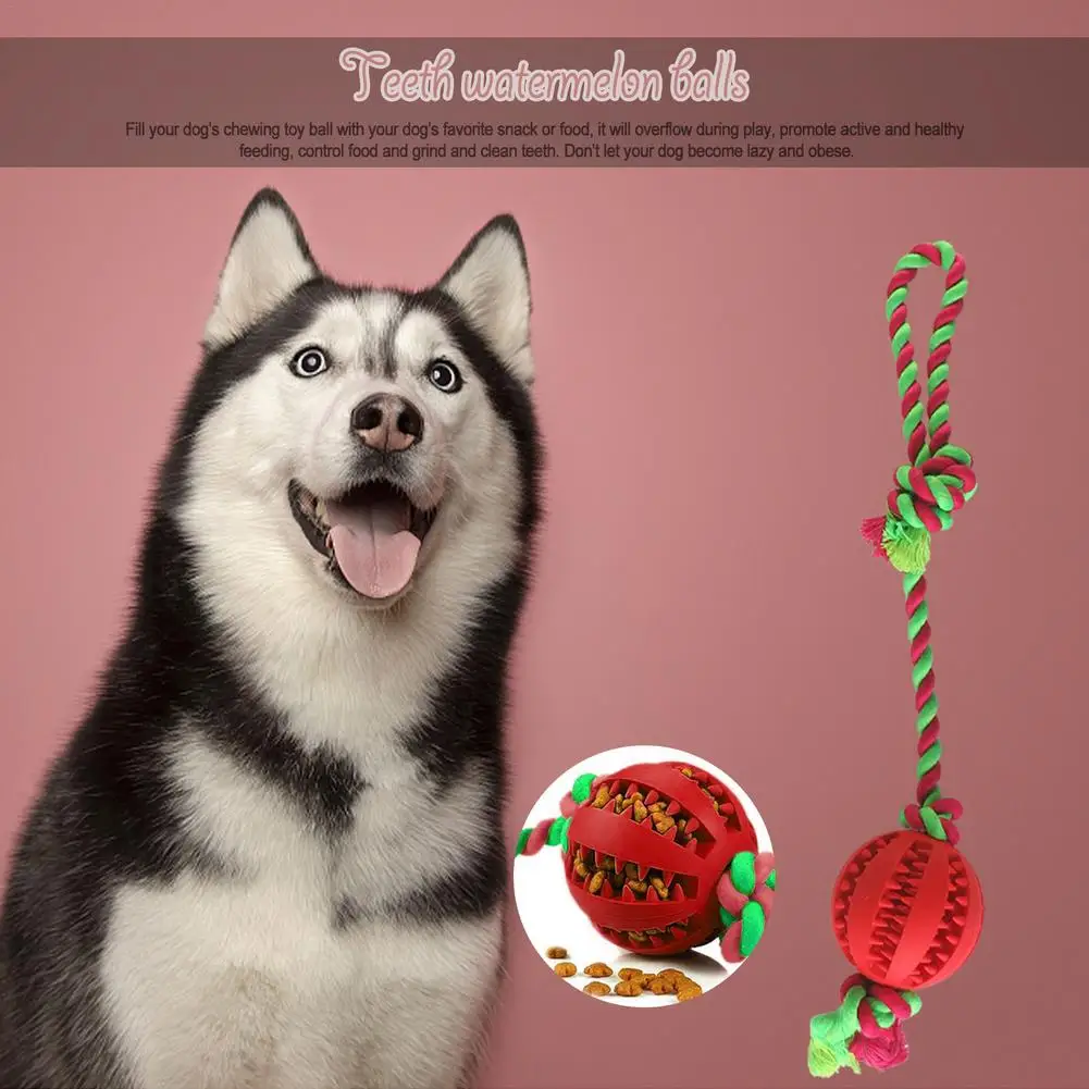 Pelota interactiva de goma para perro, juguete para masticar, Limpieza de dientes, alimentación, suministros para mascotas - imagen 5