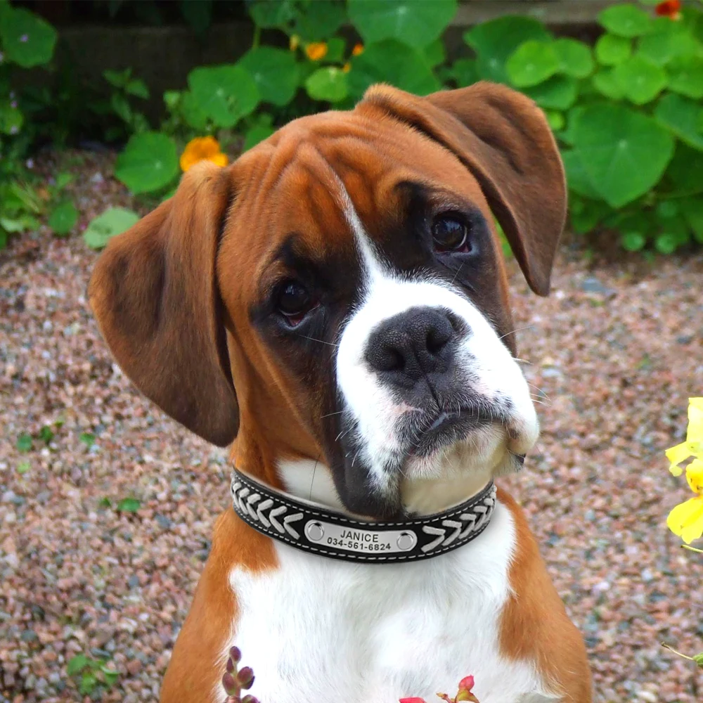 Collar de perro de cuero personalizado, collares de perro chapados con nombre trenzado para perros pequeños, medianos y grandes, Collar grabado personalizado, etiquetas de identificación para mascotas - imagen 5