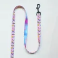 Pink Dog Leash