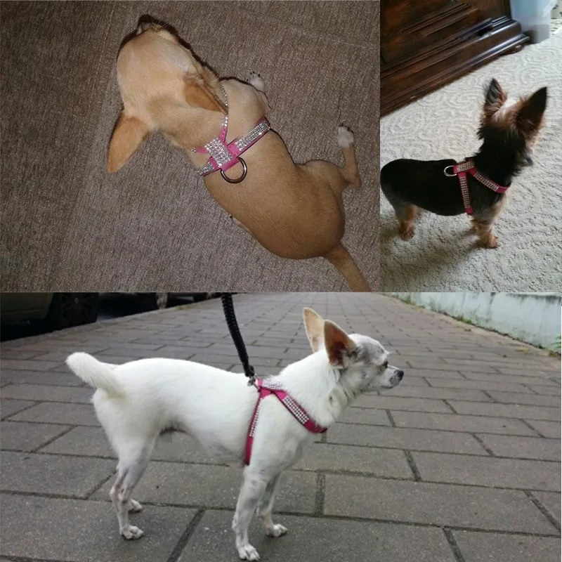 Arnés de lujo con diamantes de imitación para perros pequeños y medianos, arnés ajustable de cuero suave para mascotas con diamante York Chihuahua - imagen 4