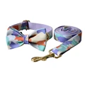 Bow Collar Leash Set