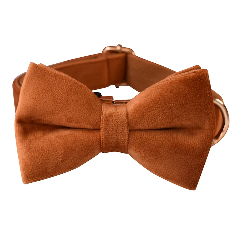 Bow Collar