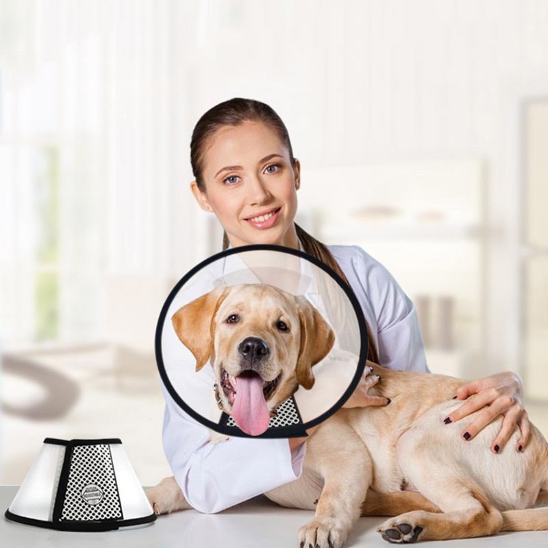 Diferentes colores disponibles - variedad