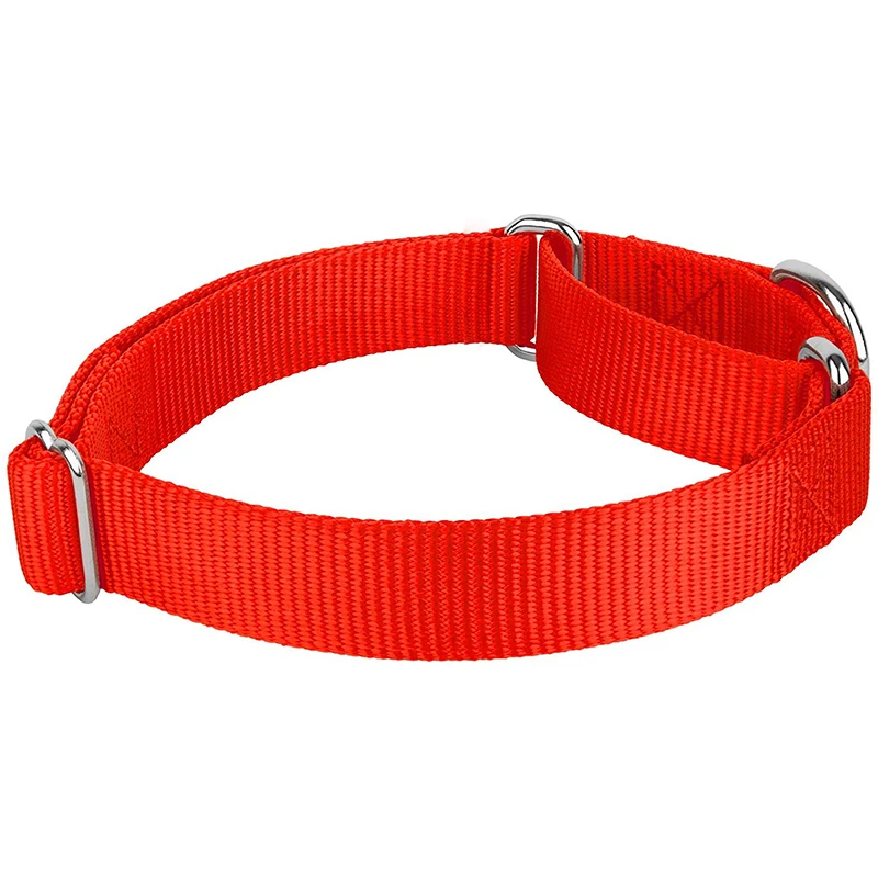 Benepaw-Collar de nailon para perro Martingale resistente, ajustable, suave, cómodo, para cachorros, perros pequeños y grandes, Control de entrenamiento - imagen 5