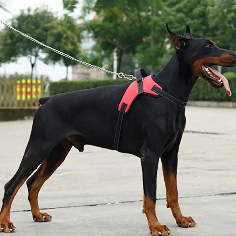Arnés ajustable suave para perros, arnés para caminar para perros grandes, chaleco, Collar, correa de mano para perros pequeños, medianos y grandes - imagen 2