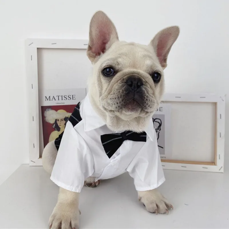 Traje de boda de caballero para perro, ropa Formal, camisa para mascotas, disfraz de Halloween y Navidad para perros pequeños, esmoquin de pajarita para Chihuahua - imagen 2